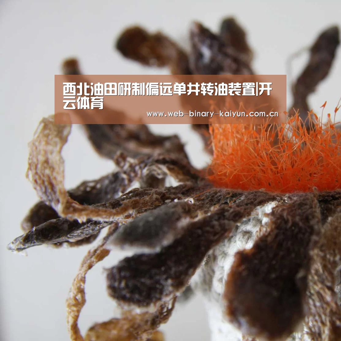 西北油田研制偏远单井转油装置|开云体育(图2) 开云体育
