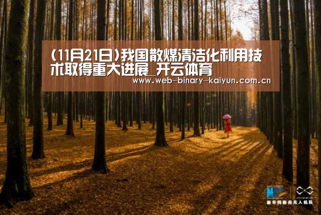 (11月21日)我国散煤清洁化利用技术取得重大进展_开云体育(图3) 开云体育