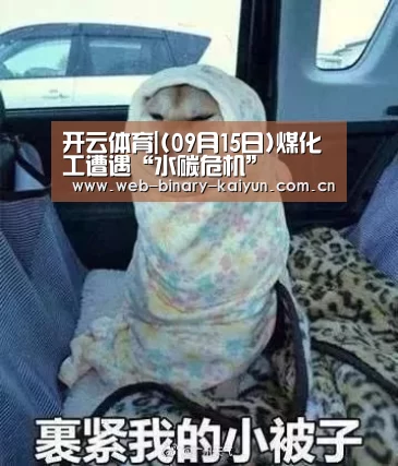 开云体育|(09月15日)煤化工遭遇“水碳危机”(图2) 开云体育