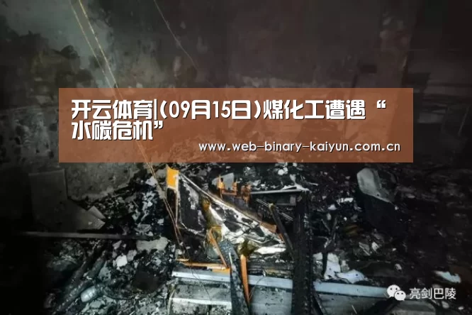 开云体育|(09月15日)煤化工遭遇“水碳危机”(图3) 开云体育