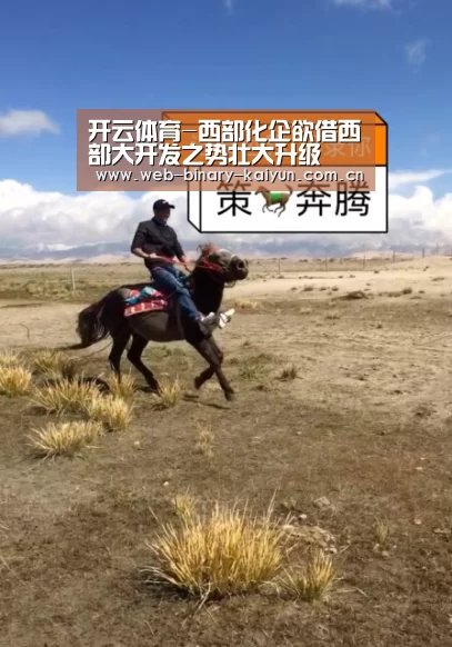 开云体育-西部化企欲借西部大开发之势壮大升级(图1) 开云体育