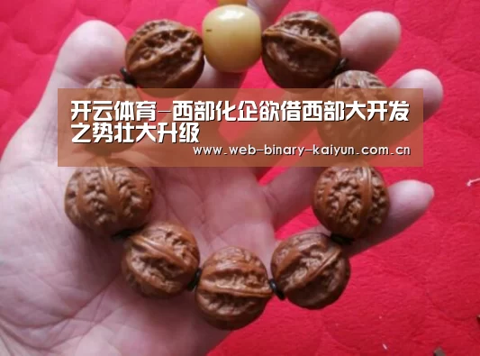 开云体育-西部化企欲借西部大开发之势壮大升级(图3) 开云体育