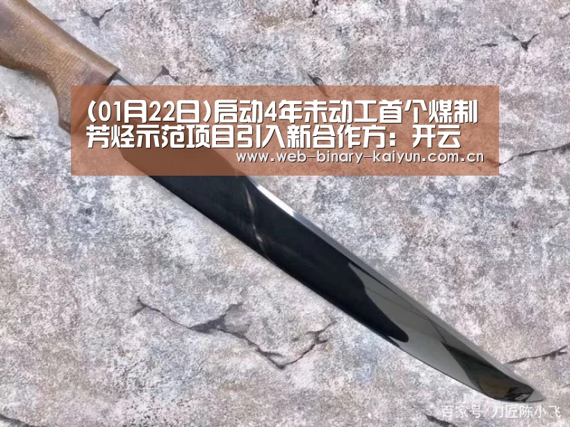 (01月22日)启动4年未动工首个煤制芳烃示范项目引入新合作方:开云体育(图3) 开云体育