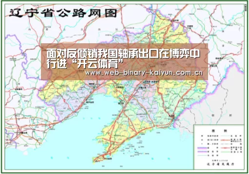 面对反倾销我国轴承出口在博弈中行进“开云体育”(图1) 开云体育